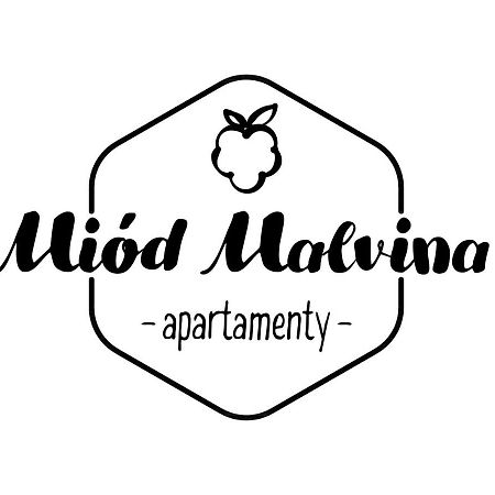 Miod Malvina Apartamenty Криниця-Здруй Екстер'єр фото